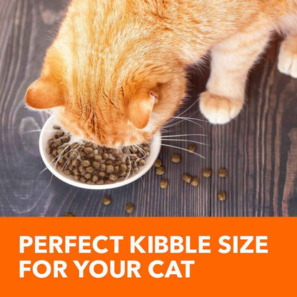 IAMS Salmon Dry Cat Food: Proactive Health for Adult Cats