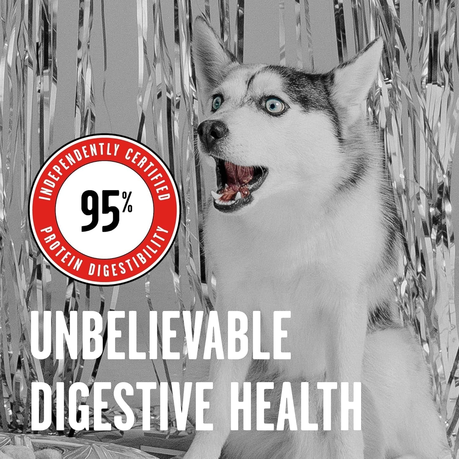 BIXBI Rawbble: 98% Beef Freeze Dried Dog Food, No Fillers - HuckMB Pet Supply