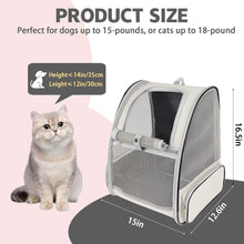 Airline Approved Pet Carrier Backpack -Ventilated for Travel - HuckMB Pet Supply